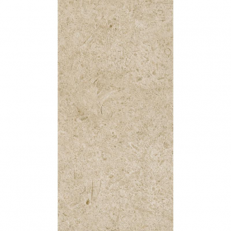 CARACTER GREIGE 30x60