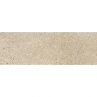 CARACTER GREIGE 30x90